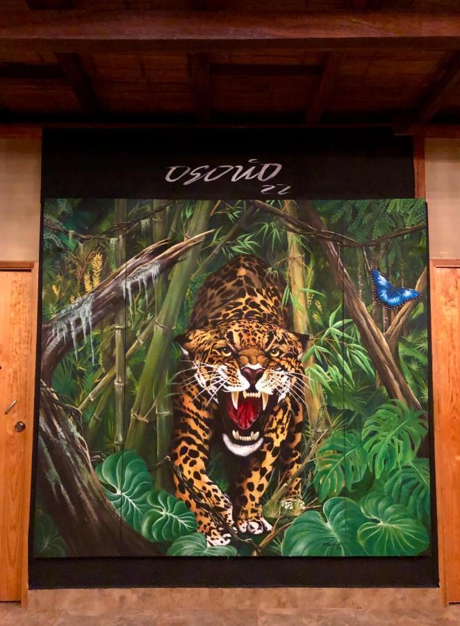 Refugio Del Jaguar Hotel Medellin Luaran gambar